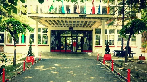 OŠ Banović Strahinja